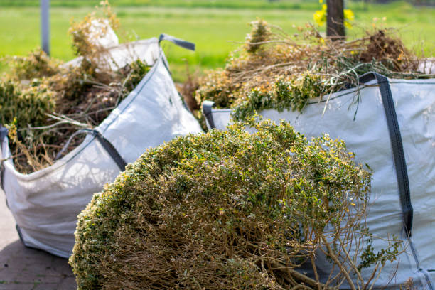 Recycling Services for Junk in Haskins, OH